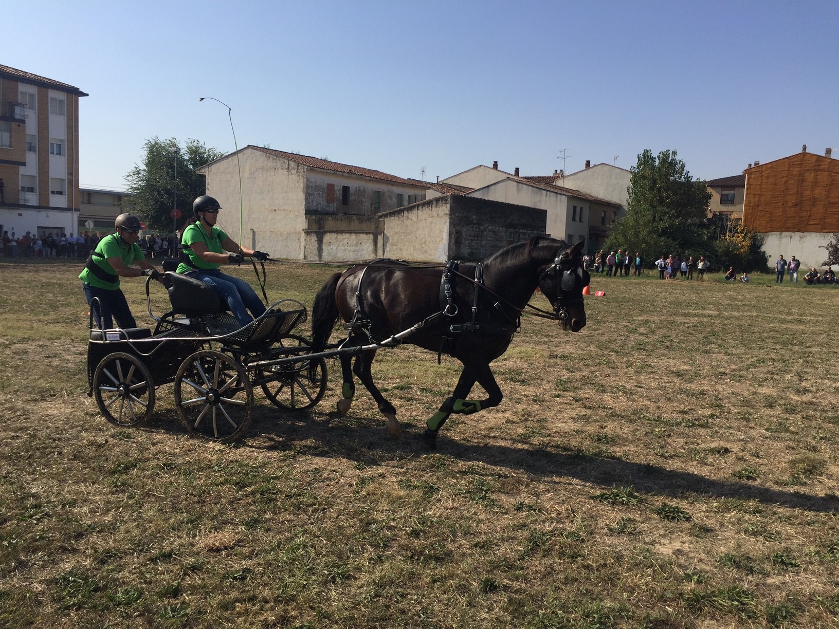 Campeonato Navarro de Enganches en Marcilla
